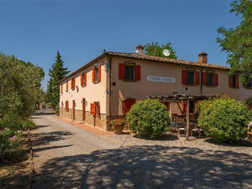 Ferienhaus - 4 Personen -  - Via di Celli - 56037 - Fabbrica Di Peccioli