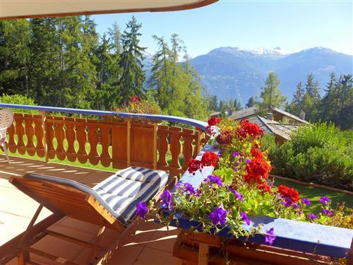 Feriehus / leilighet - 4 personer -  - Crans-Montana - 3963