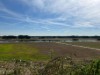 Image 23