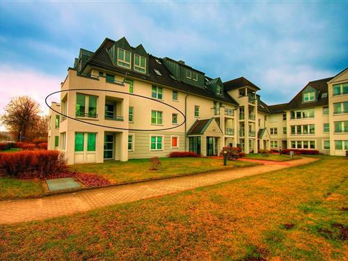 Ferielejlighed - 2 personer -  - Berliner Straße - 24340 - Eckernförde