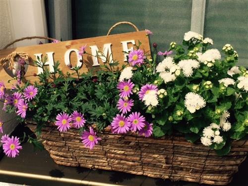 Holiday apartment - 3 persons -  - Gerspoint - 83416 - Saaldorf-Surheim