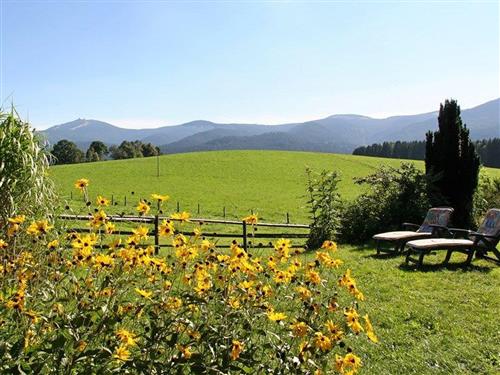 Holiday apartment - 3 persons -  - Böhmackerstr. - 93470 - Lohberg