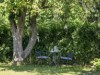Bild 19