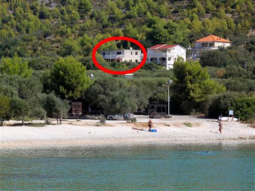 Holiday apartment - 5 persons -  - Prižba b.b., Prižba - 20271 - Blato