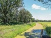 Billede 11