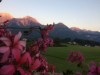 Bild 19