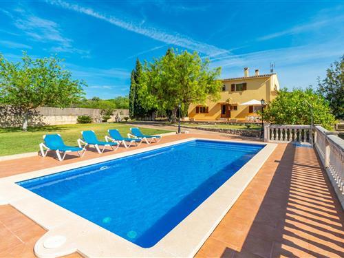 Holiday home - 8 persons -  - Diseminado Pol. - Sa Vileta, Sencelles - 07140 - Sencelles