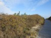 Bild 16