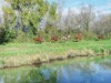 Billede 11