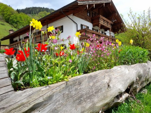  - 2 personer -  - Alpenstraße - 83486 - Ramsau