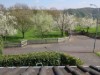 Bild 19