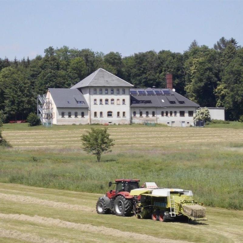 Ferielejlighed - 4 personer -  - Forstweg - 09619 - Sayda