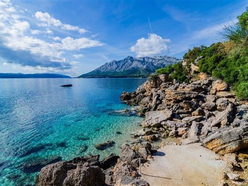 Villa - 7 persons -  - 20250 - Orebic