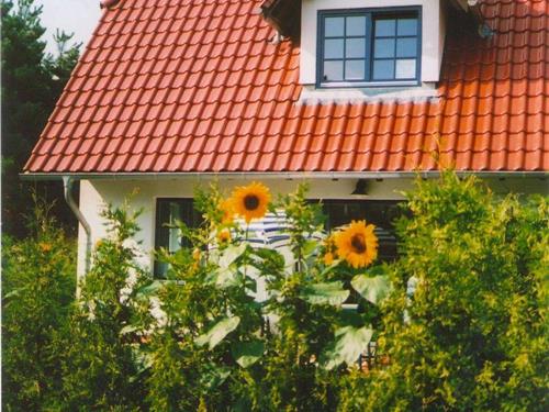 Holiday Home/Apartment - 4 persons -  - Lindenstrasse - 18374 - Seeheilbad Zingst