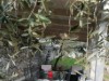 Bild 18