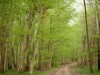 Bild 22