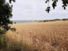 Billede 45 - Ude