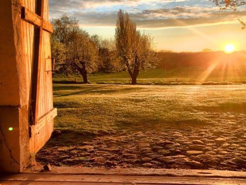 Holiday home - 2 persons -  - 23936 - Thorstorf