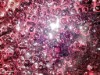 Bild 36