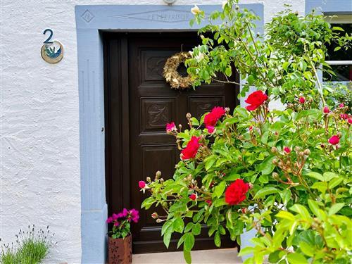 Ferielejlighed - 6 personer -  - Burbergweg - 54570 - Schutz