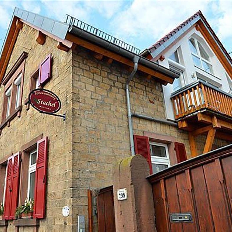 Ferielejlighed - 3 personer -  - Weinstraße - 67434 - Neustadt An Der Weinstraß