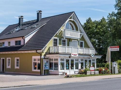 Ferielejlighed - 3 personer -  - Dorfstraße - 18347 - Ostseebad Ahrenshoop