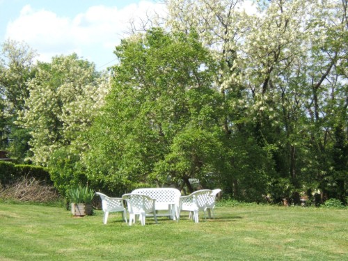Room - 2 persons -  - 81290 - Labruguière