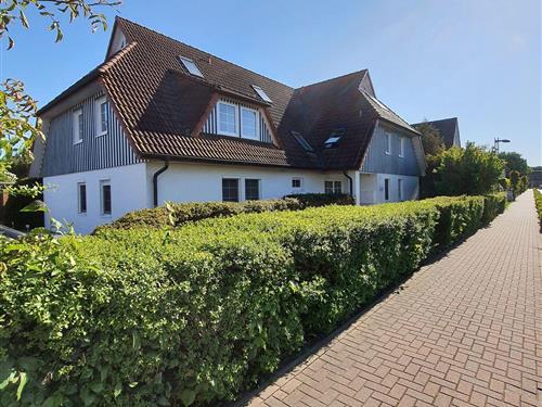 Ferieleilighet - 3 personer -  - Bahnhofstrasse - 18374 - Seeheilbad Zingst