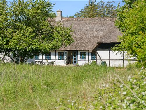 Bauernhaus - 5 Personen -  - Østerskovvej - 5932 - Humble