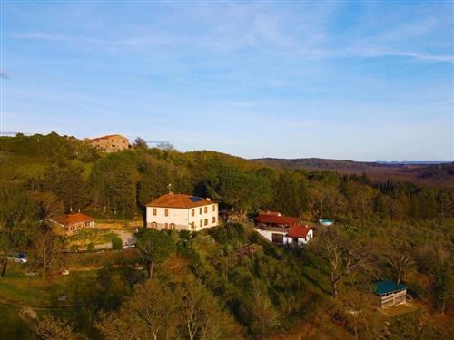 Ferienhaus - 3 Personen -  - Località Poggio al Turco - 57028 - Suvereto