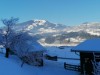Bilde 4