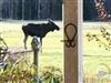 Bild 21 - Aktivitet