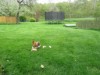 Bild 11