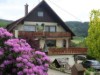 Bilde 3