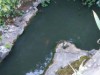 Image 24