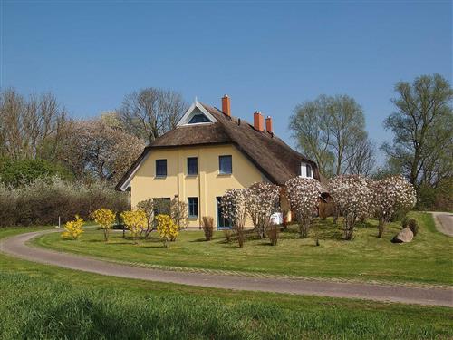 Sommerhus - 7 personer -  - Puddemin - 18574 - Poseritz / Puddemin