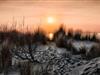 Bild 36