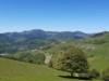 Billede 18