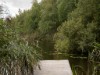Bild 23 - Inde
