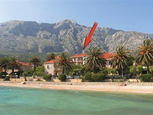 Holiday apartment - 2 persons -  - Od Blaca - Peljesac-Orebic - 20250 - Orebic