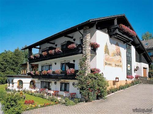  - 1 person -  - Am Buchenacker - 94252 - Bayerisch Eisenstein