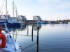 Bild 39 - Ude