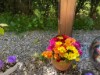 Bilde 1