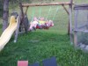 Billede 8