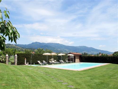 Sommerhus - 2 personer -  - Lucca - 55100