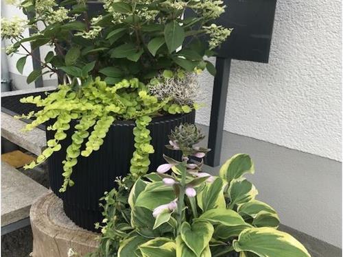 Ferienhaus - 2 Personen -  - 97772 - Oberbach