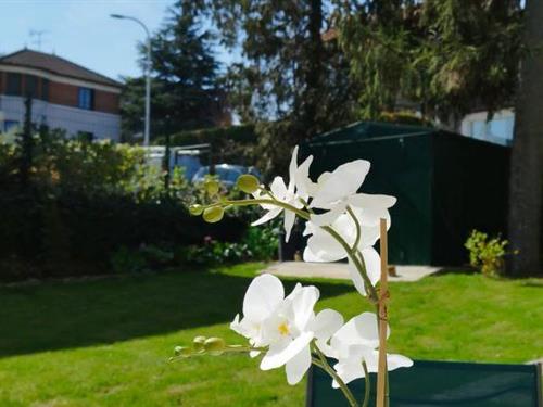 Vakantiehuis - 5 personen -  - 94310 - Orly