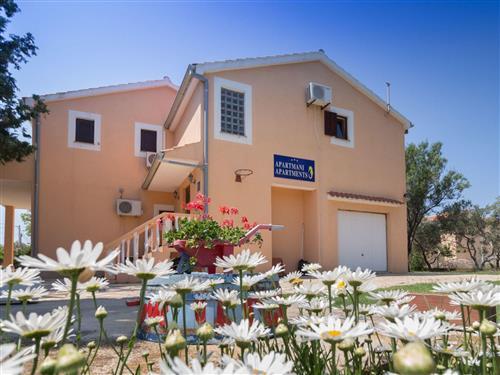 Holiday apartment - 4 persons -  - Privlaka - 23233