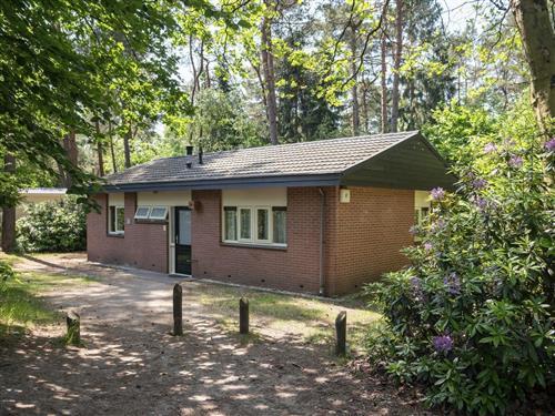 Holiday Home/Apartment - 8 persons -  - Hoge Bergweg - 7361 GS - Beekbergen