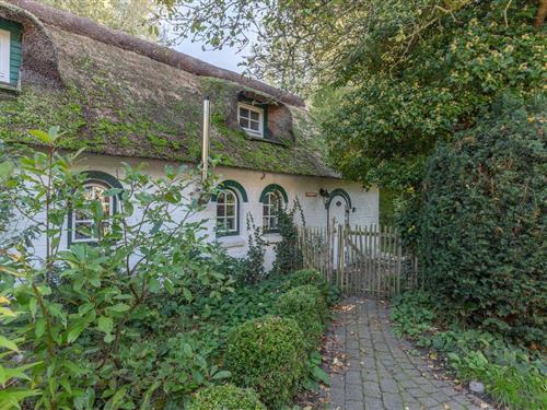 Ferielejlighed - 2 personer -  - Lagedeich - 25876 - Wisch